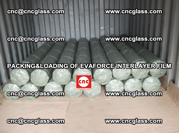 PACKING AND LOADING OF EVAFORCE INTERLAYER FILM (2)