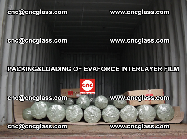 PACKING AND LOADING OF EVAFORCE INTERLAYER FILM (5)