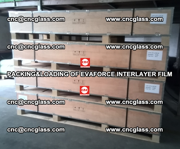 PACKING&LOADING OF EVAFORCE INTERLAYER FILM for safety laminated glass (13)