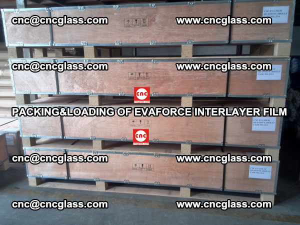 PACKING&LOADING OF EVAFORCE INTERLAYER FILM for safety laminated glass (14)