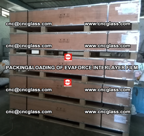 PACKING&LOADING OF EVAFORCE INTERLAYER FILM for safety laminated glass (16)