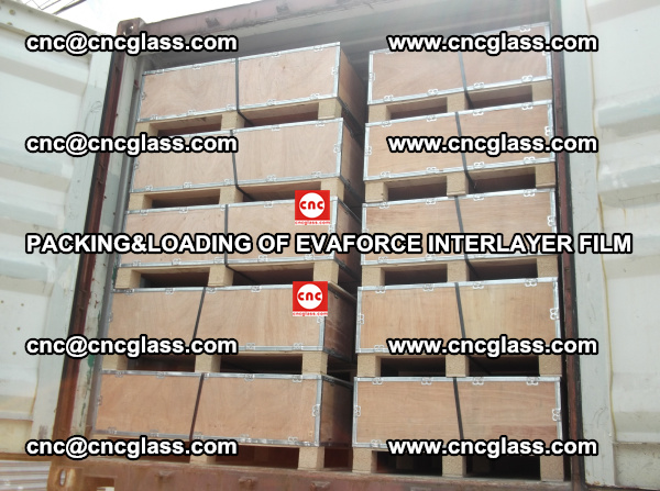 PACKING&LOADING OF EVAFORCE INTERLAYER FILM for safety laminated glass (22)