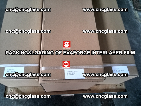 PACKING&LOADING OF EVAFORCE INTERLAYER FILM for safety laminated glass (6)