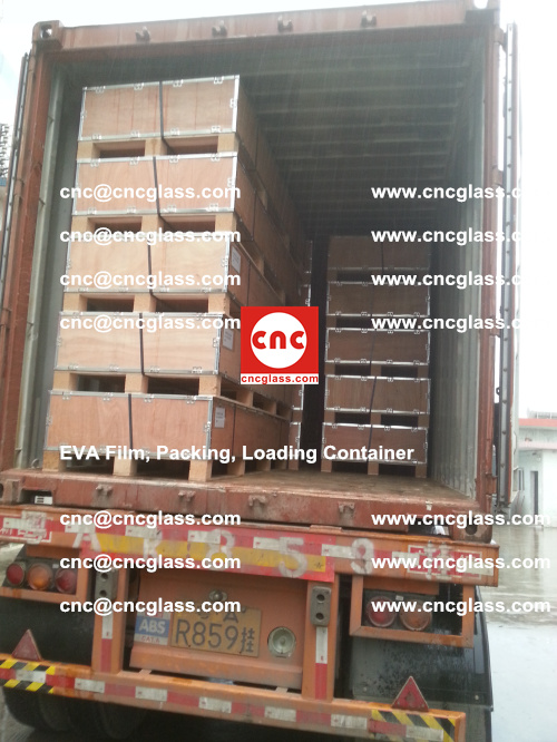 EVA Film, Package, Loading Container, Laminated Glass, Safety Glazing (41)